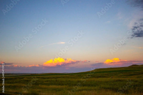 Obraz sunset over the field