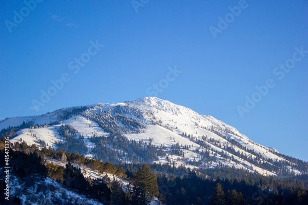 Obraz snow covered mountains