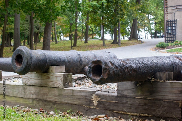 Obraz cannon in the fortress
