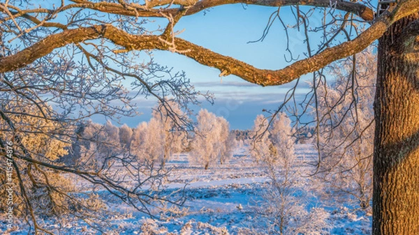 Obraz Lüneburger Heide