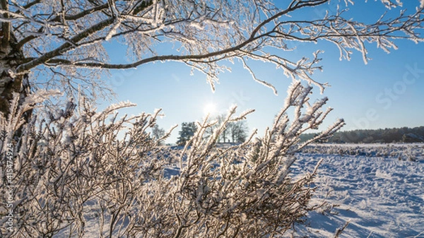 Obraz Lüneburger Heide
