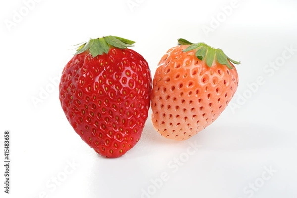 Obraz 大分産のいちご　ベリーツと淡雪