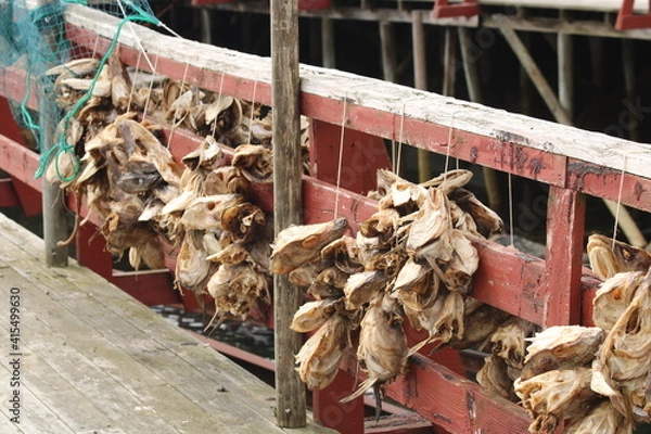 Obraz fish on a dock