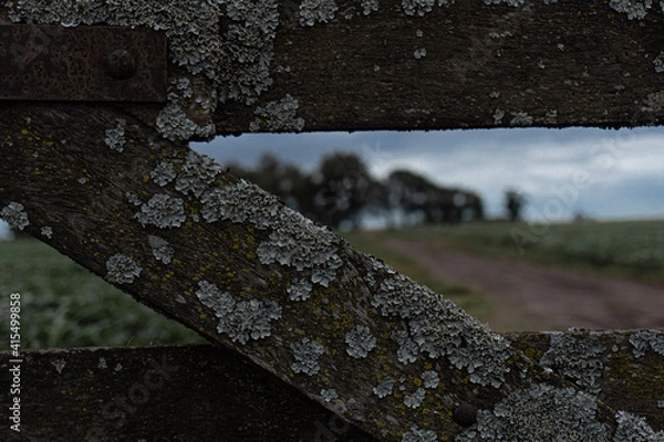 Fototapeta Old fence