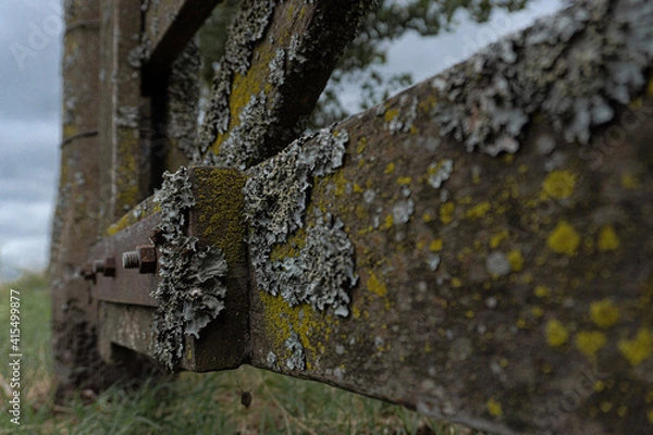 Fototapeta old fence