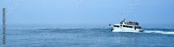 Obraz 【北海道】知床クルーズ（カマイルカの群れ）