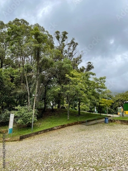 Obraz park with trees