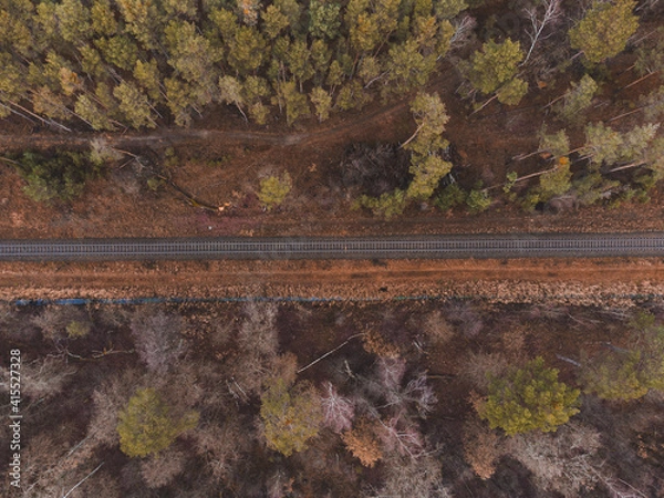 Obraz wald mit schienen näher