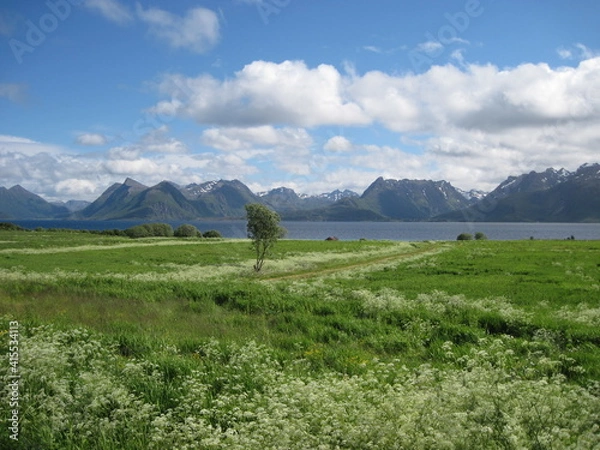 Fototapeta Vesterolen