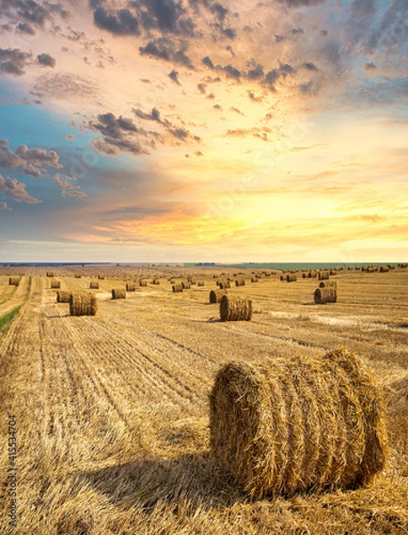 Fototapeta Endless field with bales of straw.
