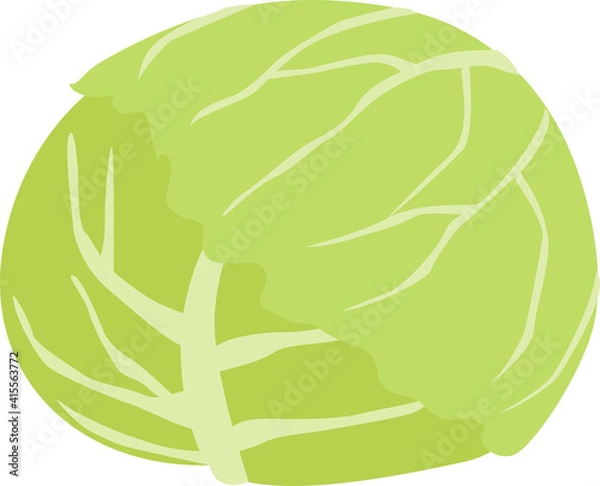 Obraz キャベツのイラスト