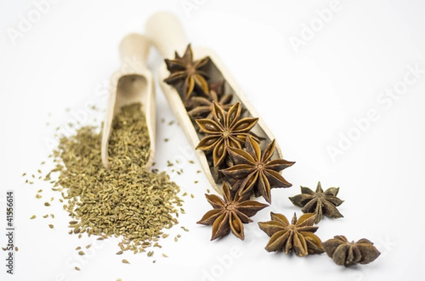 Obraz Sternanis und Anis