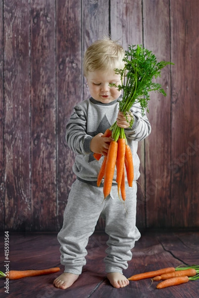 Fototapeta Cute young toddler boy holding a very big fresh ripe carrots in his hands. He stands in front of a wooden background. Space for text