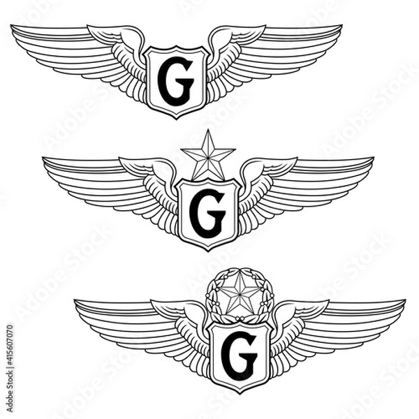 Fototapeta U.S. Air Force G Wing - Vector G Wing Badge Set is an illustration that includes the basic, senior and master Air Force G Wing or Glider Wings. This complete set is used for the Air Force.