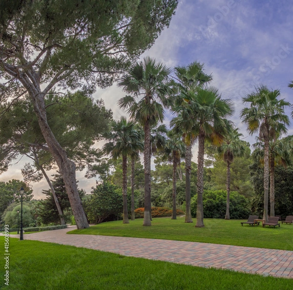 Obraz Tramuntana Mallorca