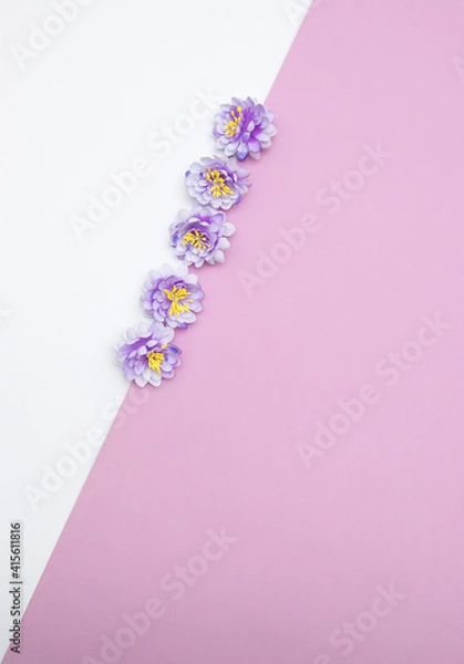 Fototapeta Three magenta blooms getting out from violet to white background.