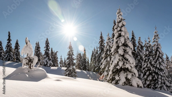 Obraz Winter Wonderland