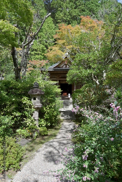 Fototapeta 円成寺　楼門　奈良市