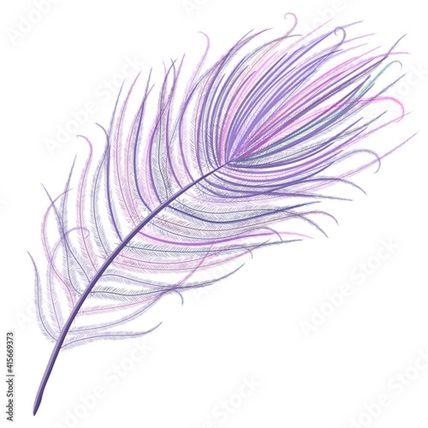 Obraz Peacock feather realistic in boho style. Luxury design.