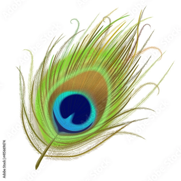Obraz Peacock feather realistic in boho style. Luxury design.