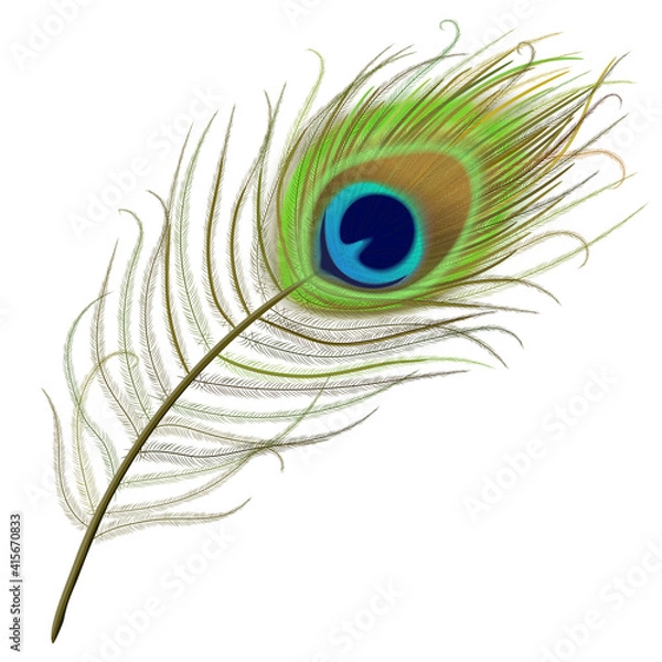Obraz Peacock feather realistic in boho style. Luxury design.
