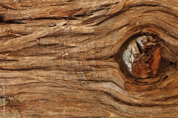 Obraz wood texture