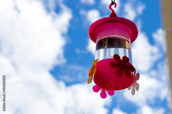 Obraz Hummingbird Feeder