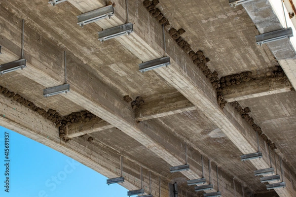 Fototapeta multiple bird nests under a bridge