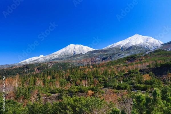 Fototapeta 美瑛町　新雪と黄葉の山