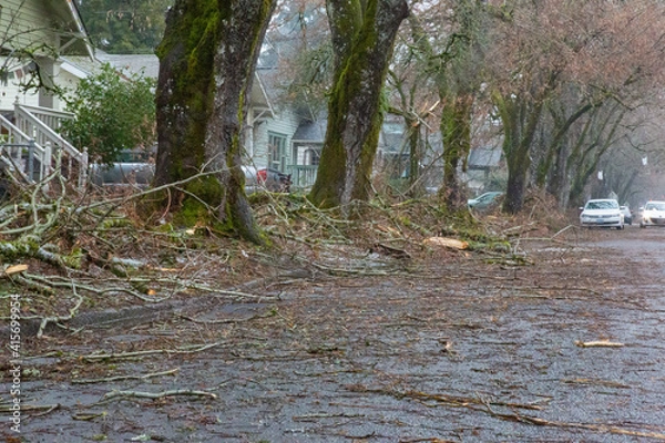 Fototapeta A view down a residential street littered with tree limbs and branches caused by storm damage