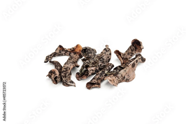 Obraz Peanut leaves isolated on white background.