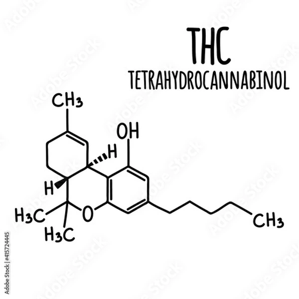 Fototapeta Molecular structural chemical formula of cannabinol tetrahydrocannabinol. Vector hand drawn illustration.