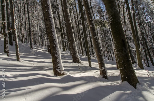 Obraz zima w Bieszczadach 