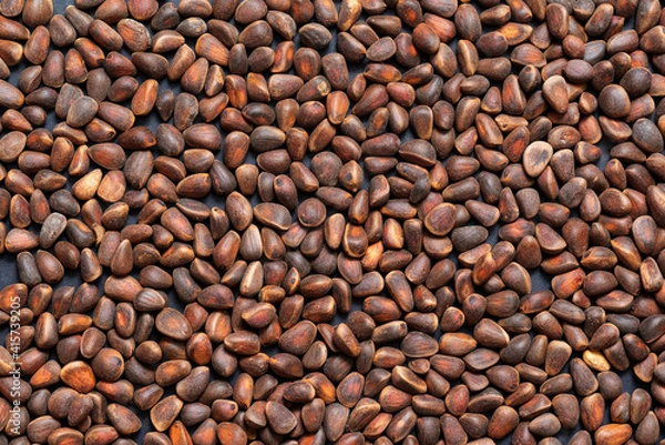 Fototapeta Background unpeeled Siberian pine nuts in a shell close-up. 