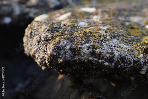 Fototapeta OLYMPUS DIGITAL CAMERA