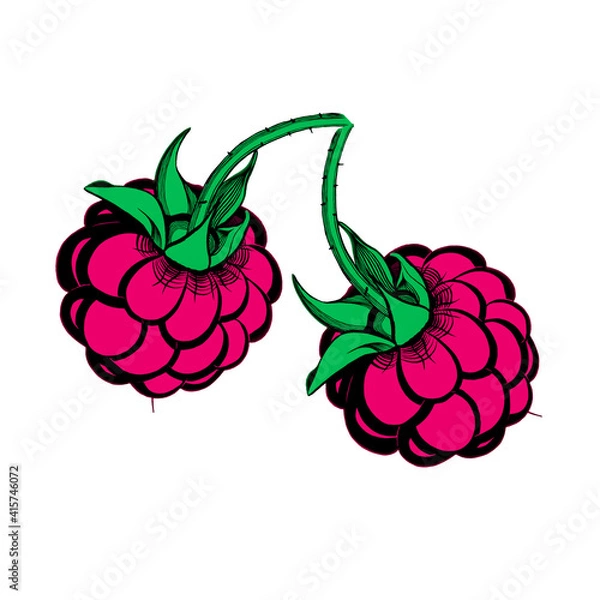 Obraz stylized two pink green black berry raspberry