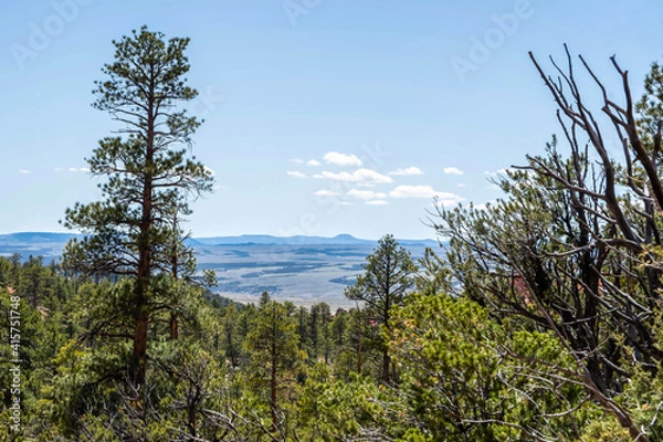 Fototapeta An overlooking view of nature in Dixie National Forest, Utah