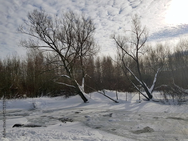 Obraz mobile photo. Freezing swamp, snow on the shores