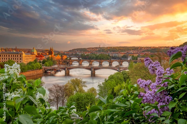 Fototapeta Sunset view to Vltava river and the bridges from Letna gardens, popular recreation area in Prague.