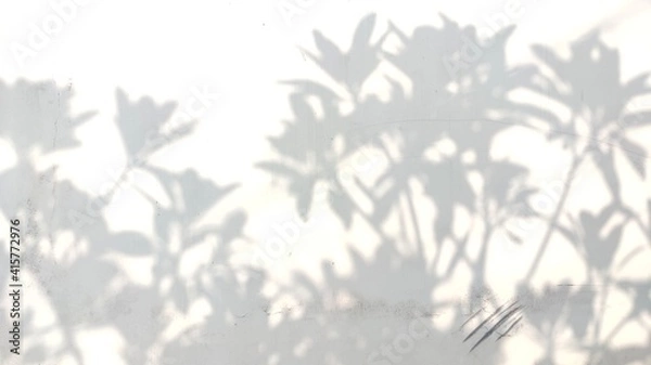 Obraz abstract wall image with tree leaf silhouette background.