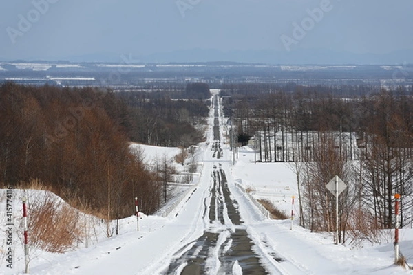 Obraz 眼下に続くまっすぐな道