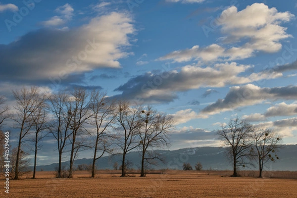 Fototapeta Imposing play of clouds over meadows and trees