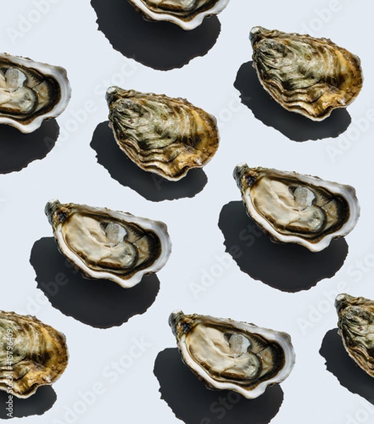 Fototapeta Open oyster Fin de Claire on gray background Pattern