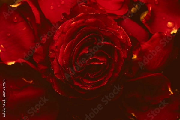 Fototapeta Цветы на праздник 8 марта