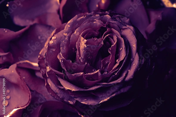 Obraz Цветы на праздник 8 марта