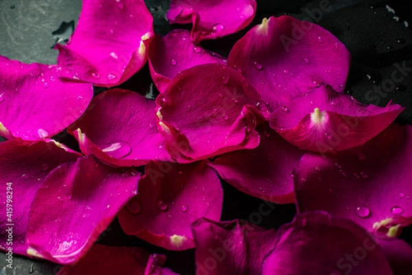 Obraz Ярко-розовые лепестки роз на 8 марта