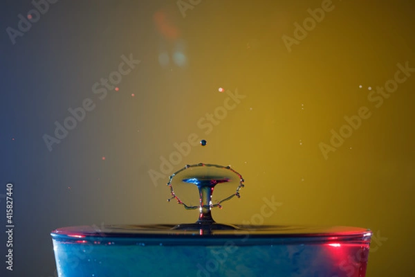 Obraz Drops/ Watersplash
