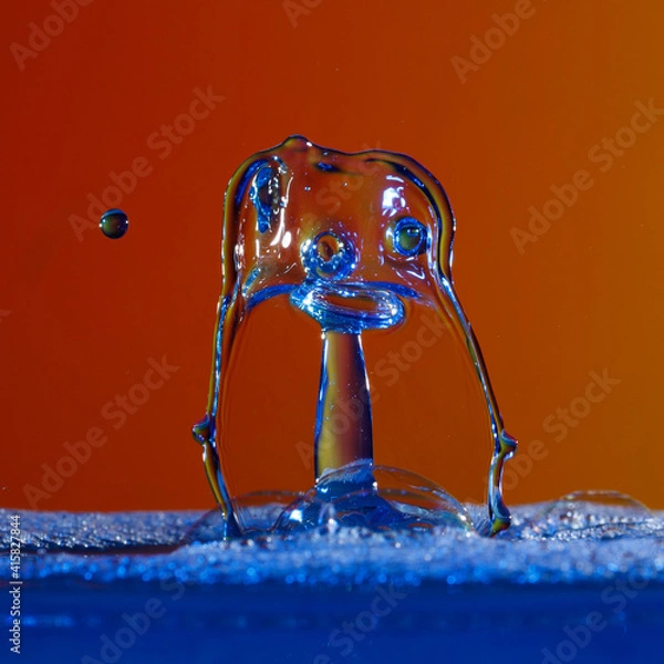 Obraz Drops/ Watersplash
