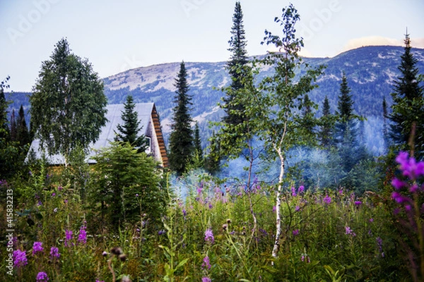 Obraz flowers in the mountains