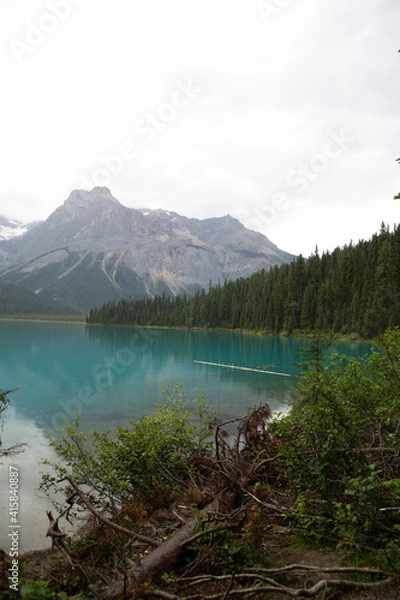 Obraz lake and mountains